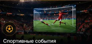 Спорт
